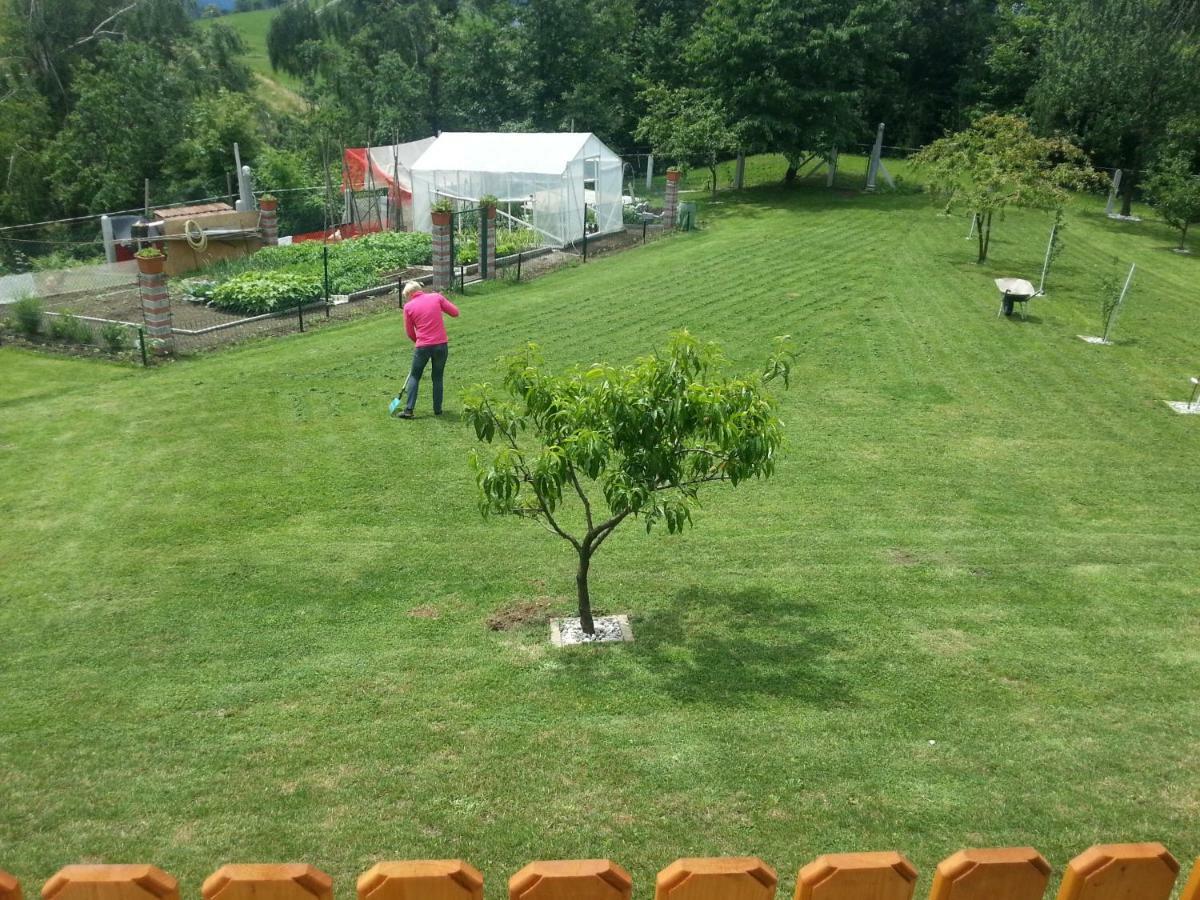 Sostanj Velenje Ravne Sobe Rooms Vrtacnik D O O Luaran gambar