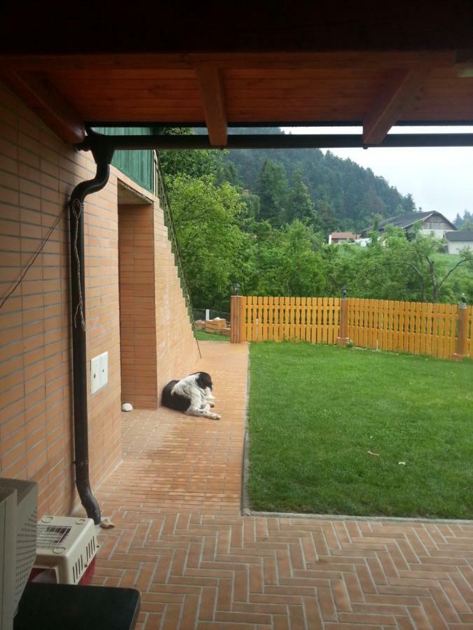Sostanj Velenje Ravne Sobe Rooms Vrtacnik D O O Luaran gambar