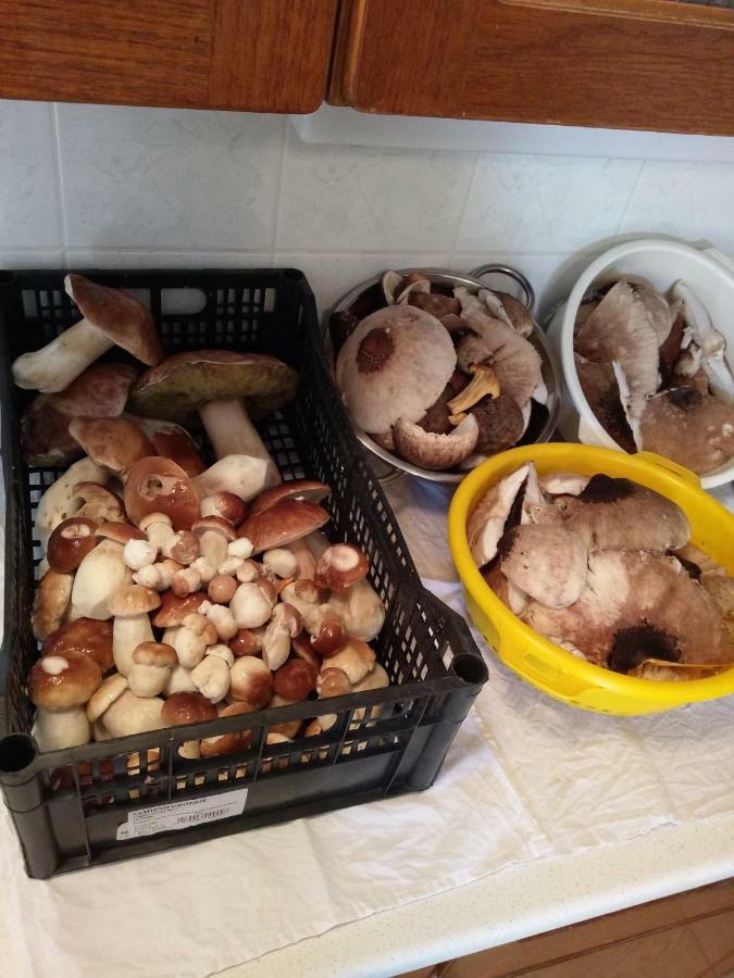 Sostanj Velenje Ravne Sobe Rooms Vrtacnik D O O Luaran gambar