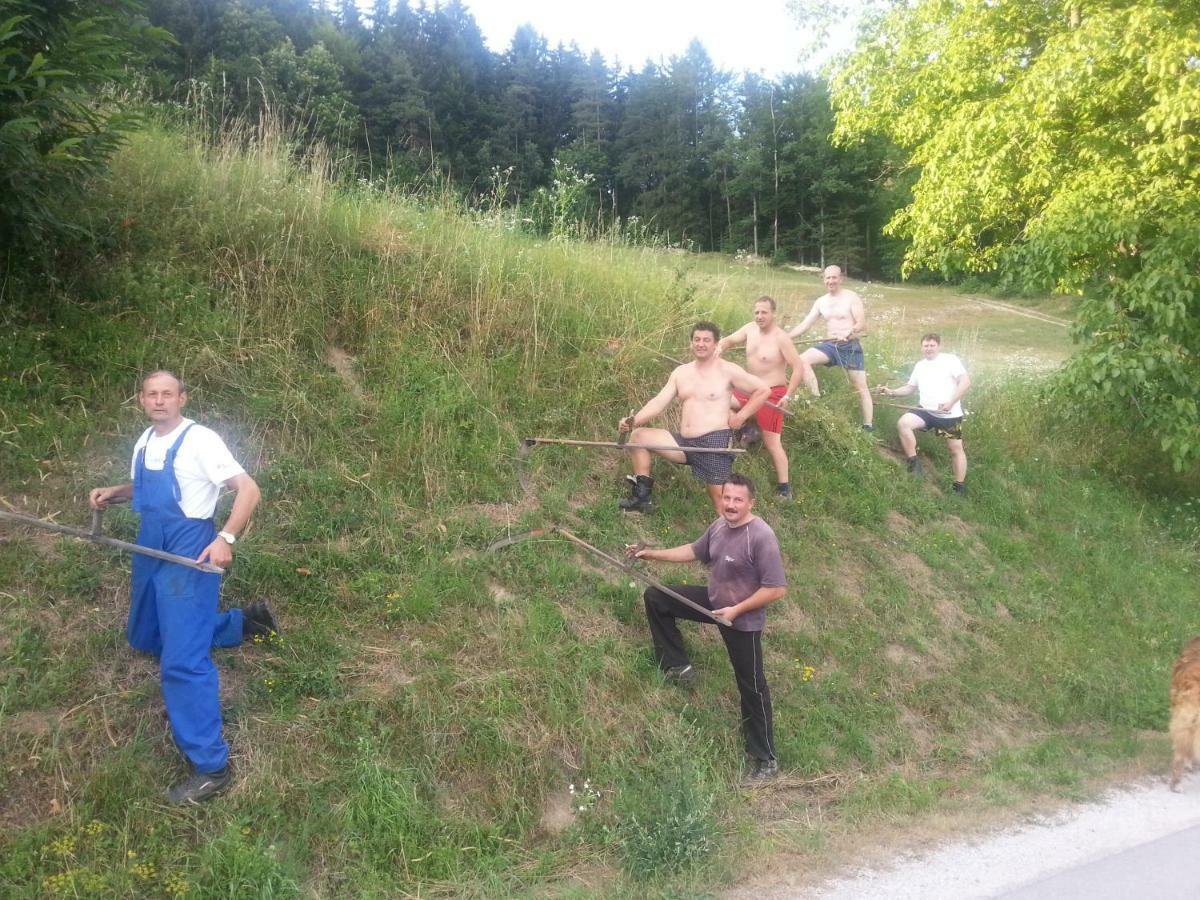 Sostanj Velenje Ravne Sobe Rooms Vrtacnik D O O Luaran gambar